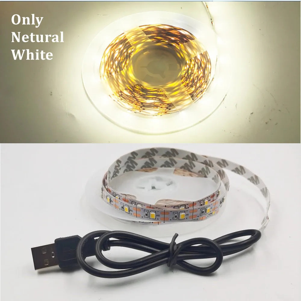 LED Strip Light RGB 2835 Flexible Lamp Tape Diode USB Cable 3 Key Control DC5V 1M 2M 3M 4M 5M Desk Screen TV Background Lighting