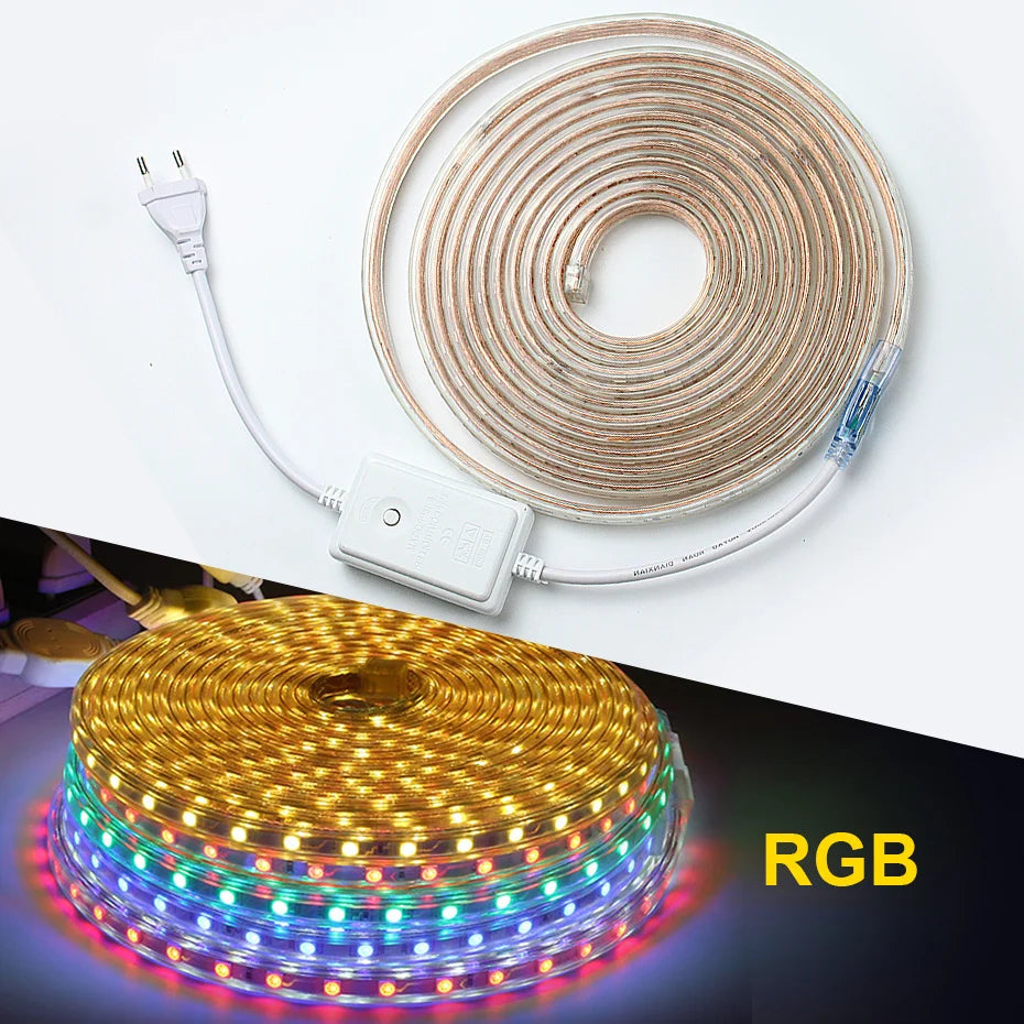 RGB LED Strip Lights 220V 5050SMD EU IP67 Warm White Red Flexible Silicone Tape 10M 25M for Indoor Outdoor Lighting Decoration