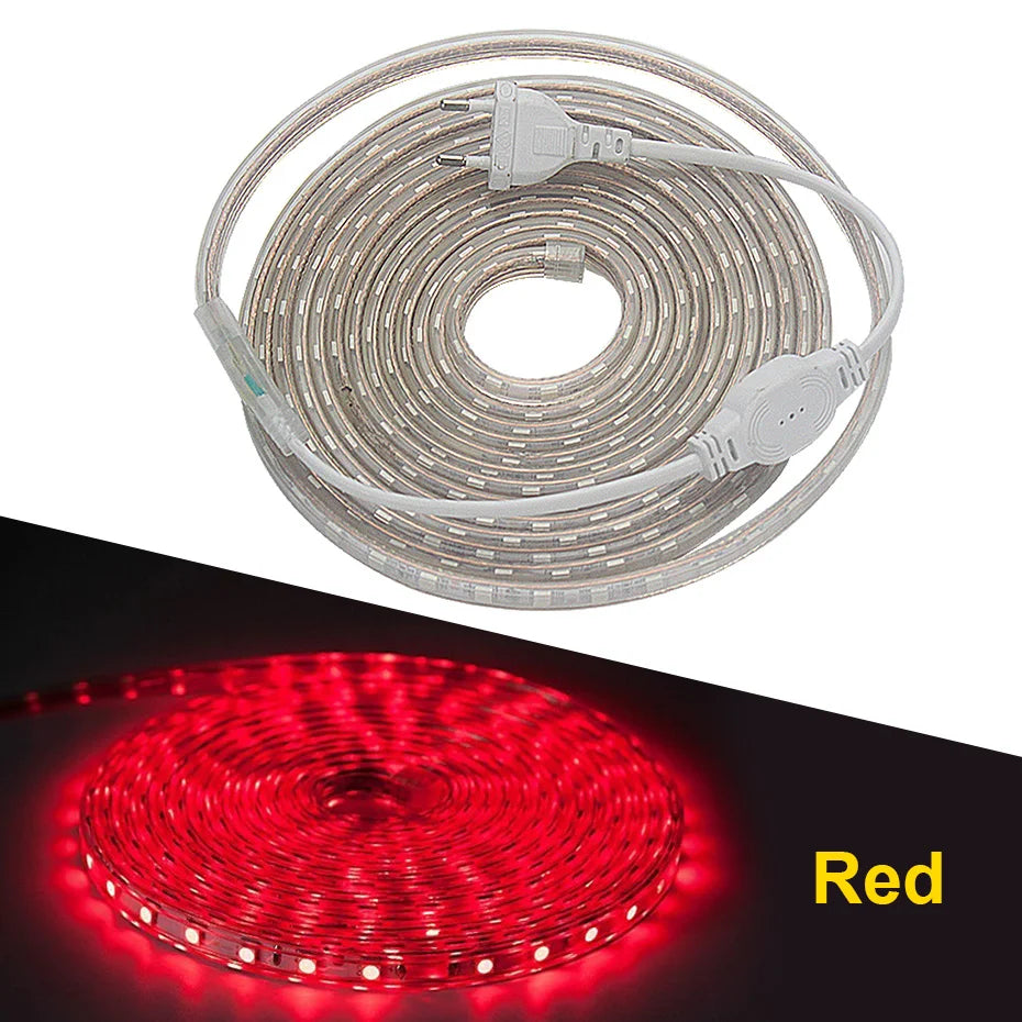 RGB LED Strip Lights 220V 5050SMD EU IP67 Warm White Red Flexible Silicone Tape 10M 25M for Indoor Outdoor Lighting Decoration