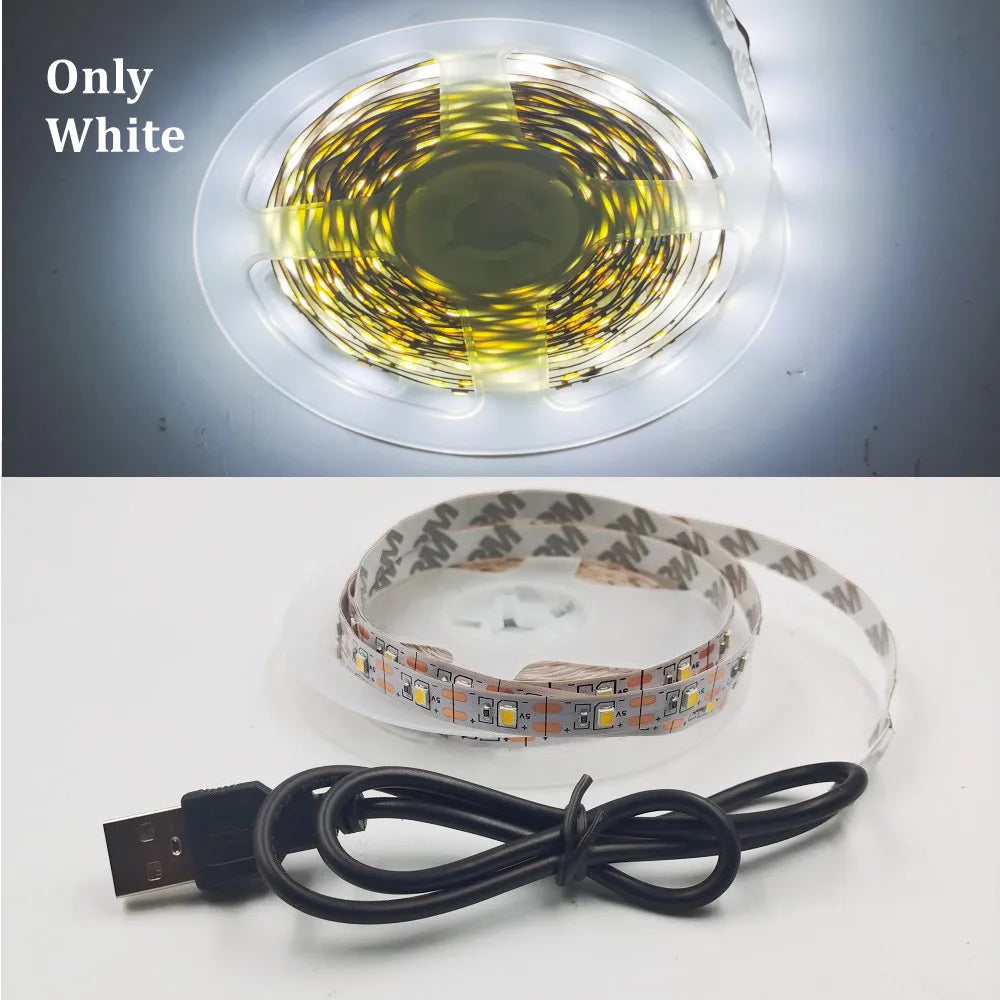 LED Strip Light RGB 2835 Flexible Lamp Tape Diode USB Cable 3 Key Control DC5V 1M 2M 3M 4M 5M Desk Screen TV Background Lighting