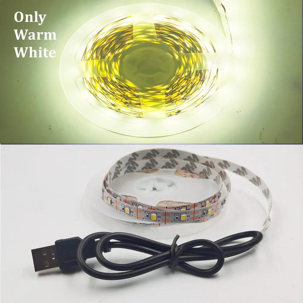 LED Strip Light RGB 2835 Flexible Lamp Tape Diode USB Cable 3 Key Control DC5V 1M 2M 3M 4M 5M Desk Screen TV Background Lighting