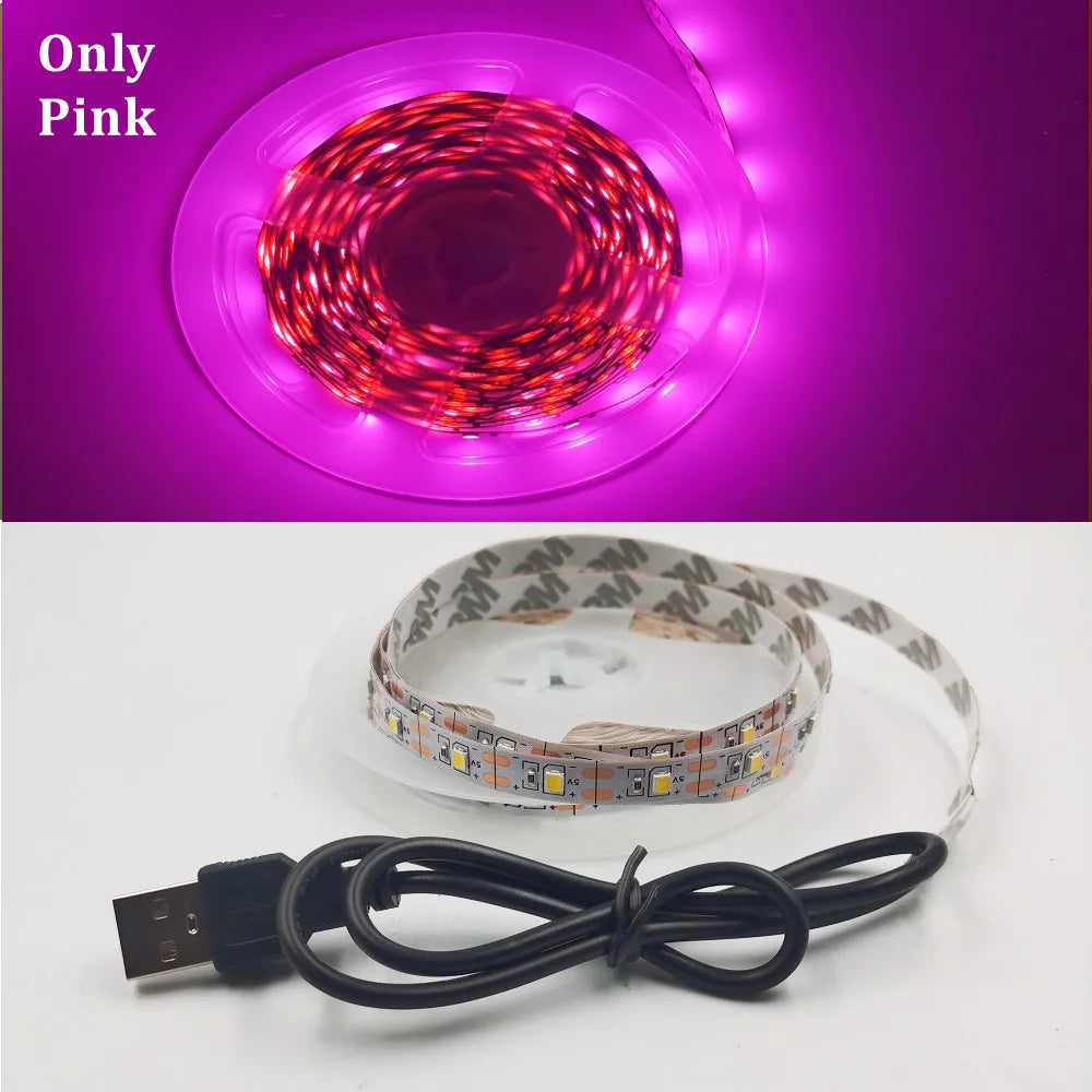 LED Strip Light RGB 2835 Flexible Lamp Tape Diode USB Cable 3 Key Control DC5V 1M 2M 3M 4M 5M Desk Screen TV Background Lighting