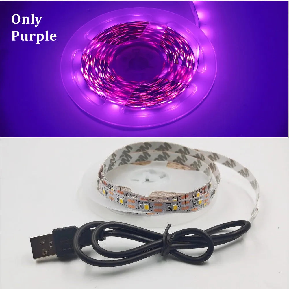LED Strip Light RGB 2835 Flexible Lamp Tape Diode USB Cable 3 Key Control DC5V 1M 2M 3M 4M 5M Desk Screen TV Background Lighting