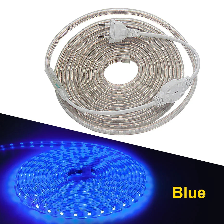 RGB LED Strip Lights 220V 5050SMD EU IP67 Warm White Red Flexible Silicone Tape 10M 25M for Indoor Outdoor Lighting Decoration