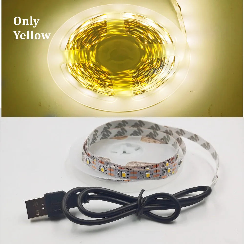 LED Strip Light RGB 2835 Flexible Lamp Tape Diode USB Cable 3 Key Control DC5V 1M 2M 3M 4M 5M Desk Screen TV Background Lighting