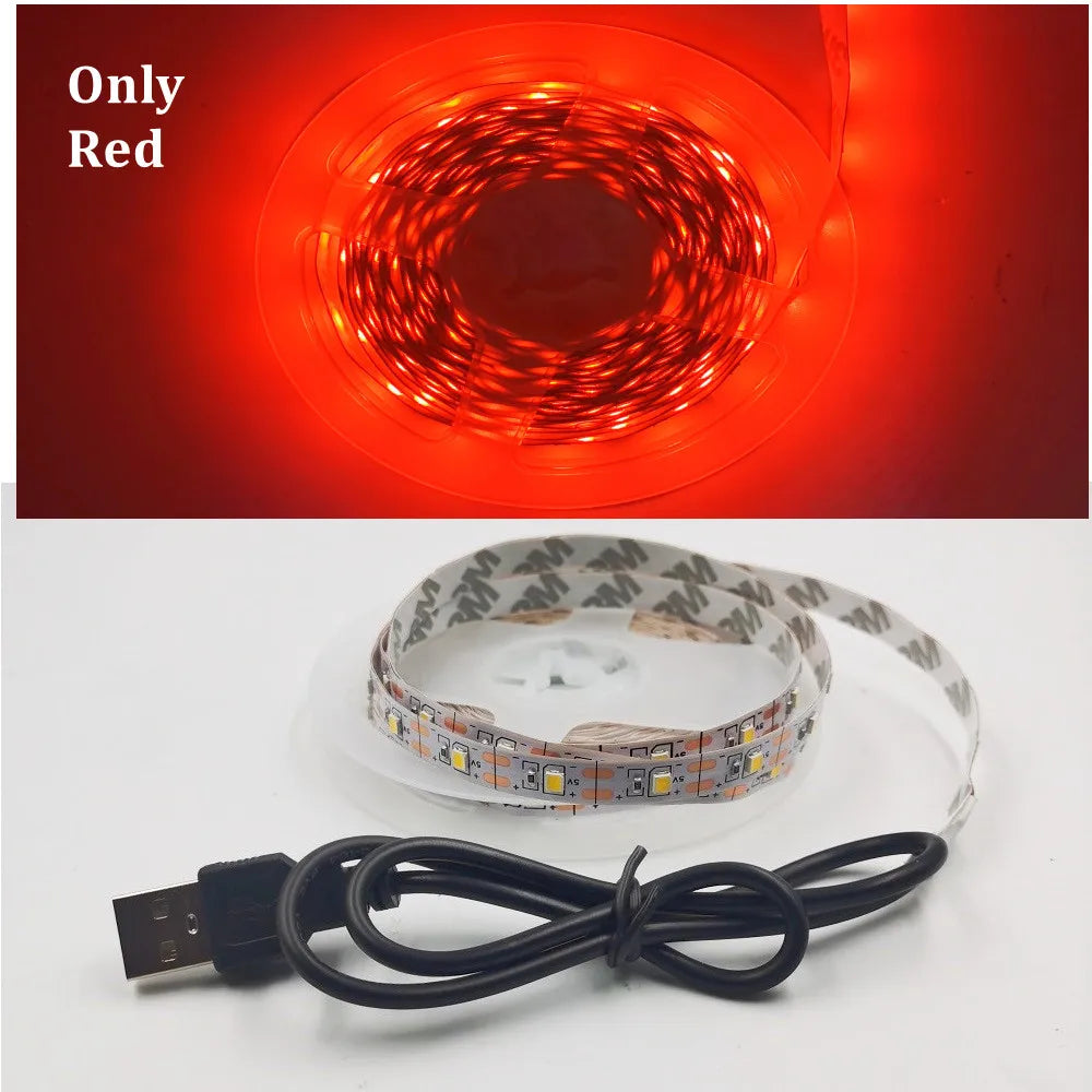 LED Strip Light RGB 2835 Flexible Lamp Tape Diode USB Cable 3 Key Control DC5V 1M 2M 3M 4M 5M Desk Screen TV Background Lighting