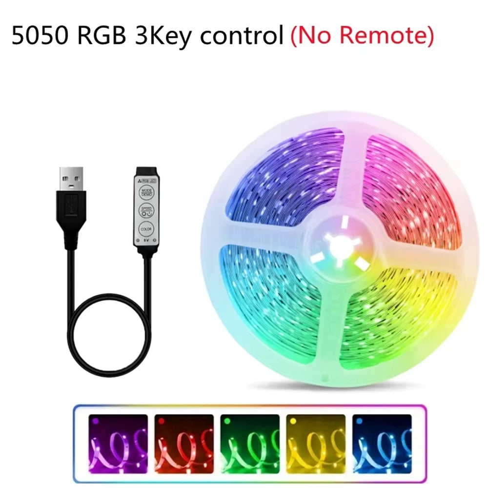 RGB LED Strip Lights 1-20M Led Strip Lighting with Remote Control USB Flexible Ribbon Luces Led for Room Decoration TV Backlight