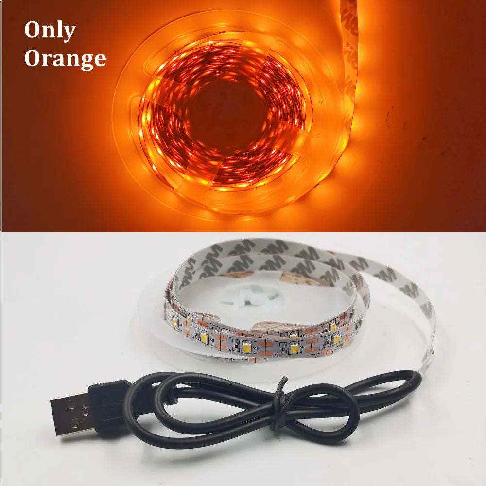 LED Strip Light RGB 2835 Flexible Lamp Tape Diode USB Cable 3 Key Control DC5V 1M 2M 3M 4M 5M Desk Screen TV Background Lighting