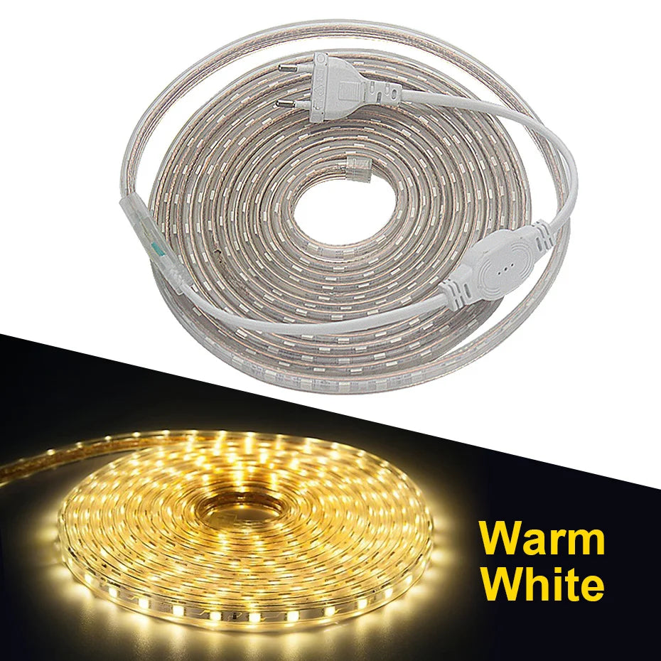 RGB LED Strip Lights 220V 5050SMD EU IP67 Warm White Red Flexible Silicone Tape 10M 25M for Indoor Outdoor Lighting Decoration