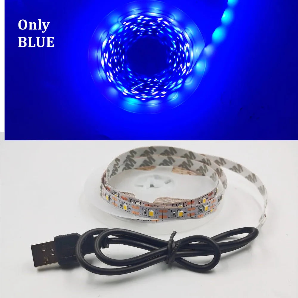 LED Strip Light RGB 2835 Flexible Lamp Tape Diode USB Cable 3 Key Control DC5V 1M 2M 3M 4M 5M Desk Screen TV Background Lighting