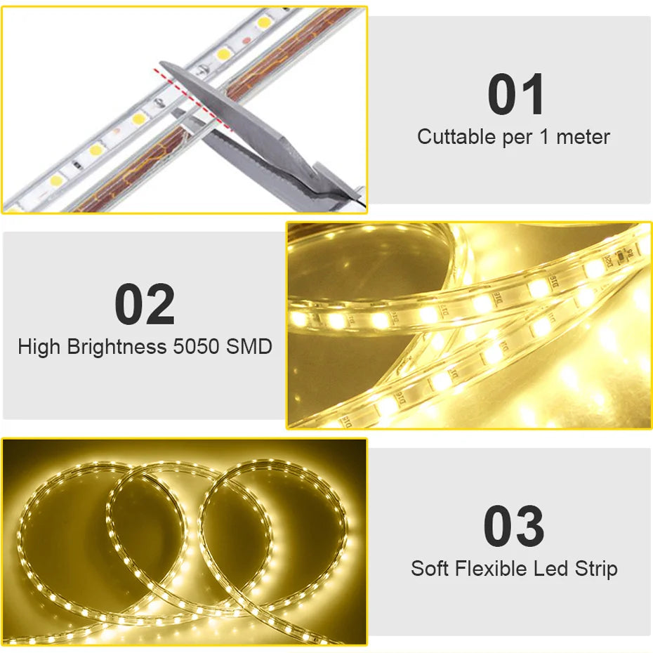 RGB LED Strip Lights 220V 5050SMD EU IP67 Warm White Red Flexible Silicone Tape 10M 25M for Indoor Outdoor Lighting Decoration