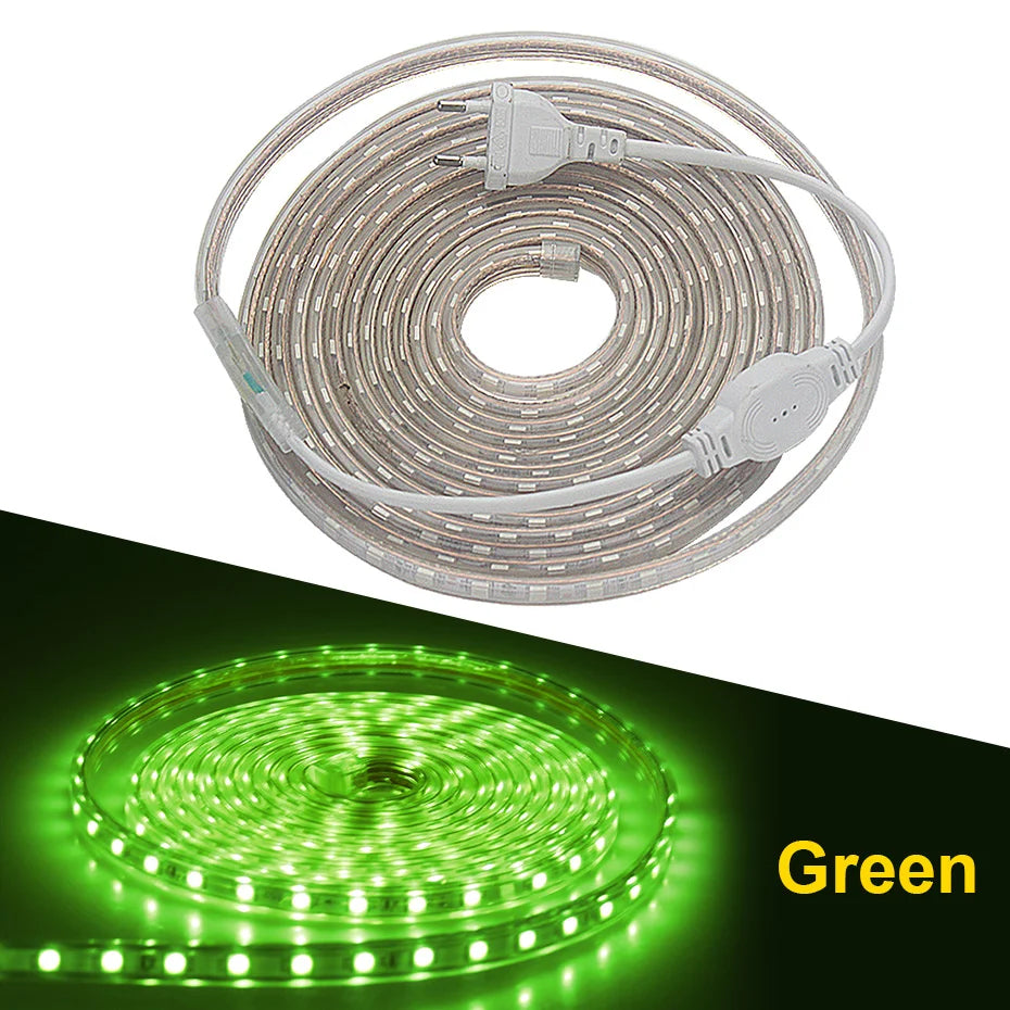 RGB LED Strip Lights 220V 5050SMD EU IP67 Warm White Red Flexible Silicone Tape 10M 25M for Indoor Outdoor Lighting Decoration
